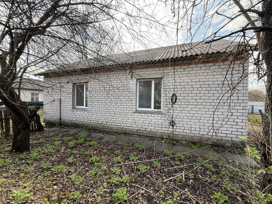 Продаж 3 кімнатного будинку в селі Аркадіївка 60 соток землі Є ВІДЕООГЛЯД