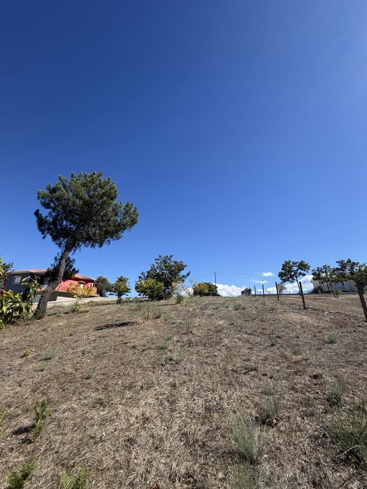 Terreno em solo urbano de 1250m2 com viabilidade construtica em Sever, Moimenta da Beira