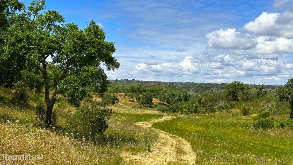 Herdade com 11,6 hectares em São Bartolomeu da Serra, Santiago do C...