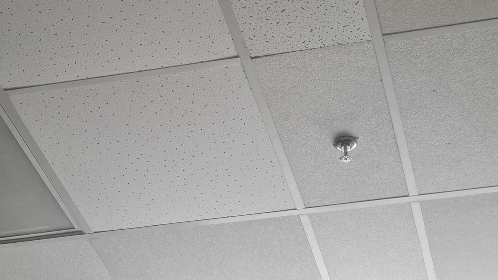 Аренда 1 этаж под магазин 230 м2, м. "23 августа", в ТРЦ ЭКСПРЕСС