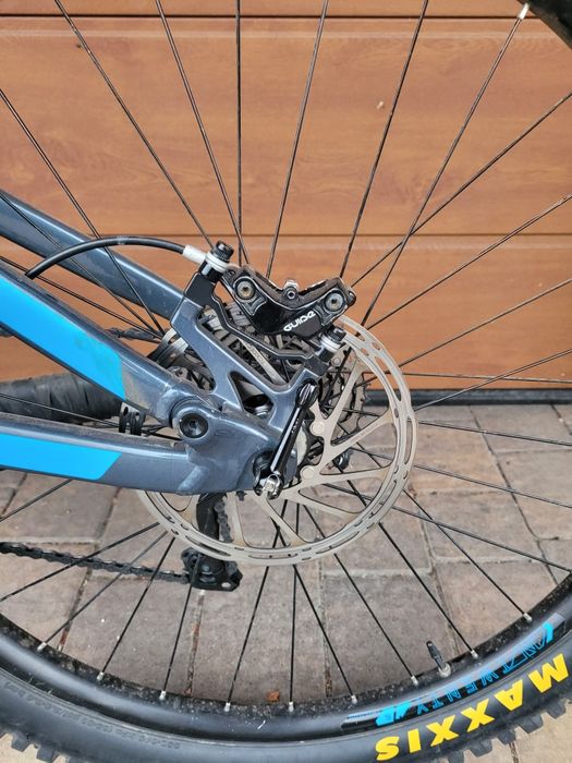 Marin Hawk Hill 2021