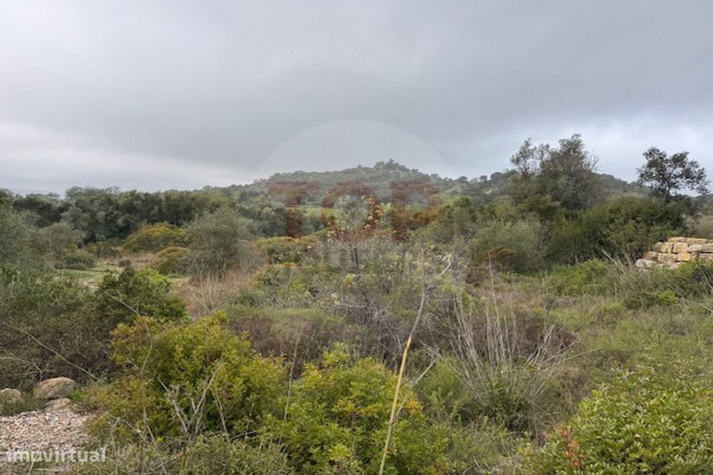 Terreno Rustico em Estoi