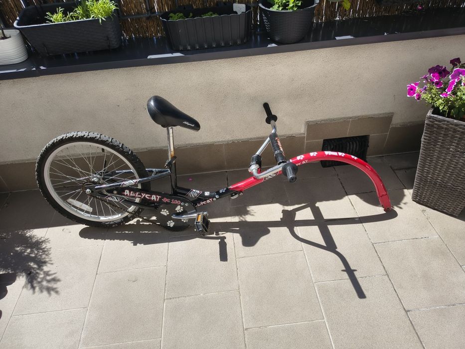 Rower przyczepka dla dziecka