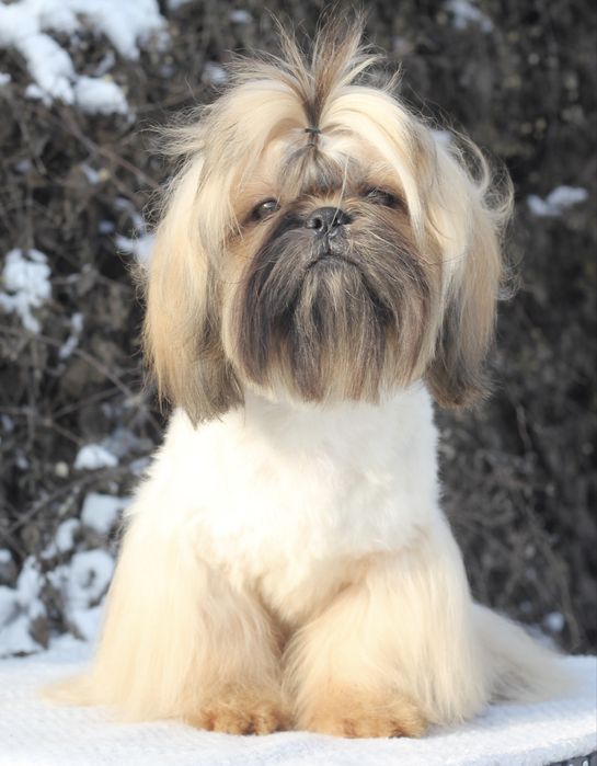 Неймовірний яскравий і ніжний хлопчик