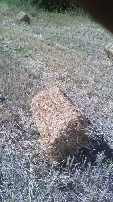 Солома в тюках 45*90
