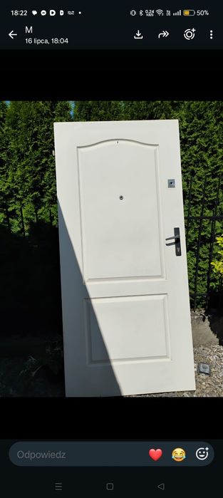 Drzwi wejściowe zewnętrzne