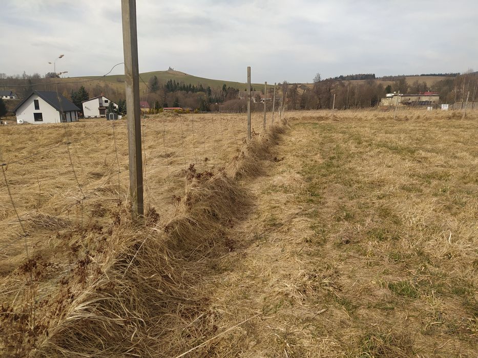 Jabłów działka budowlana 1591 m z wydanym pozwoleniem na budowę - Widok 3