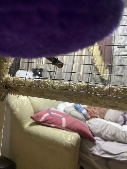 Клетка для попугаев