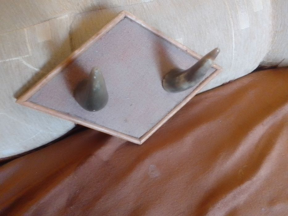 Вешалка настенная