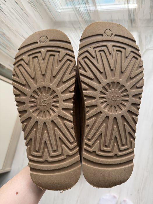 Ugg Tazz замшеві капці