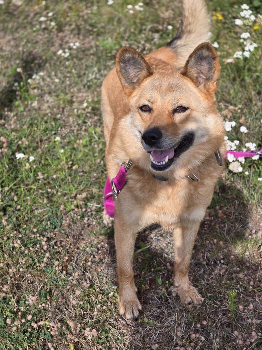 Uśmiechnięta Sally