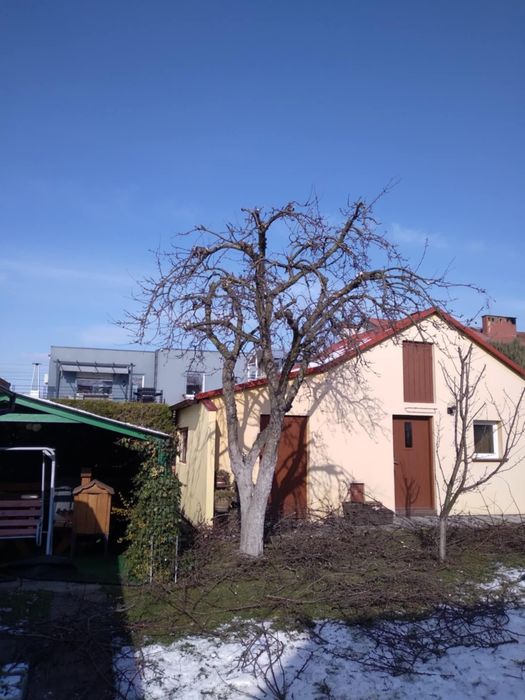 Usługi ogrodnicze i koszenie traw