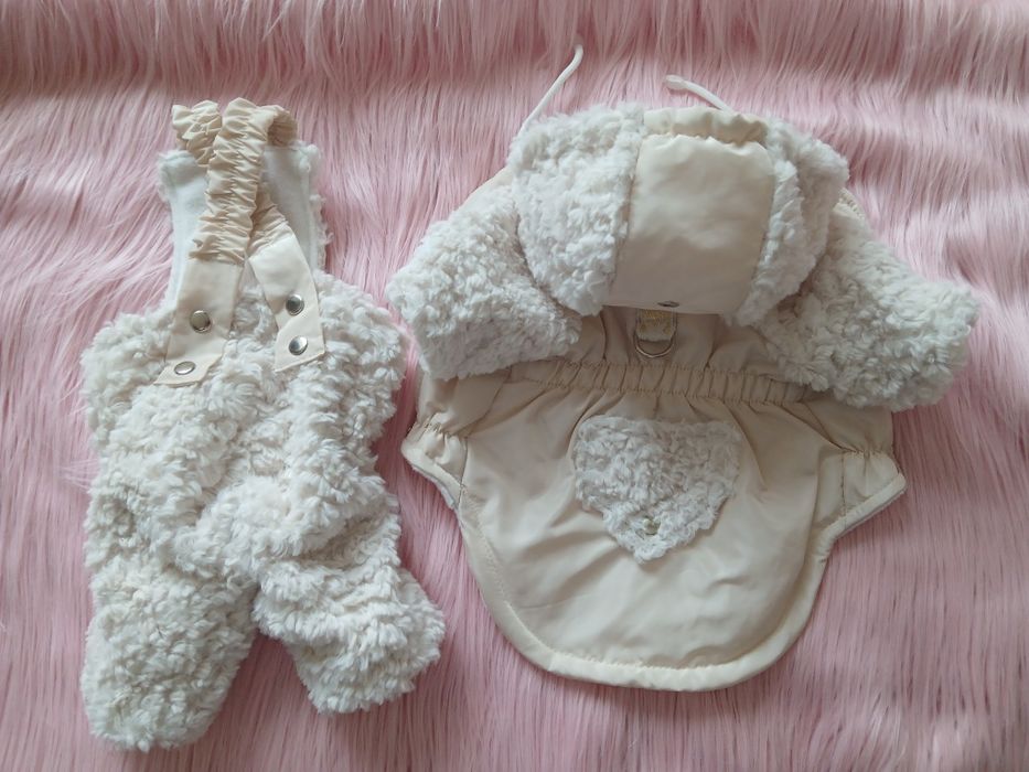 Одяг для собак та котів