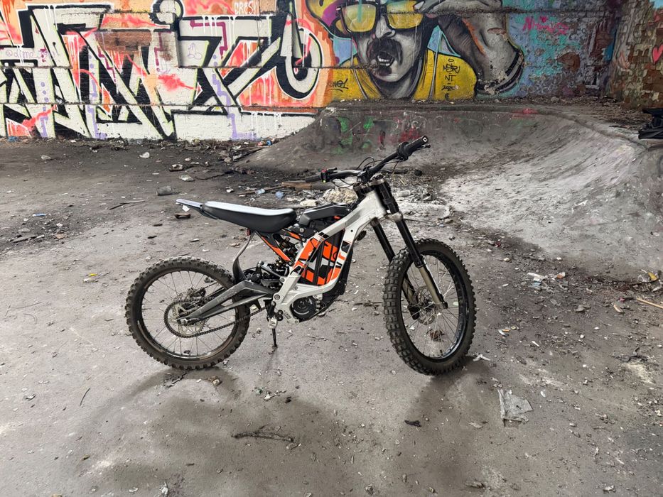 Surro light bee x 2022r