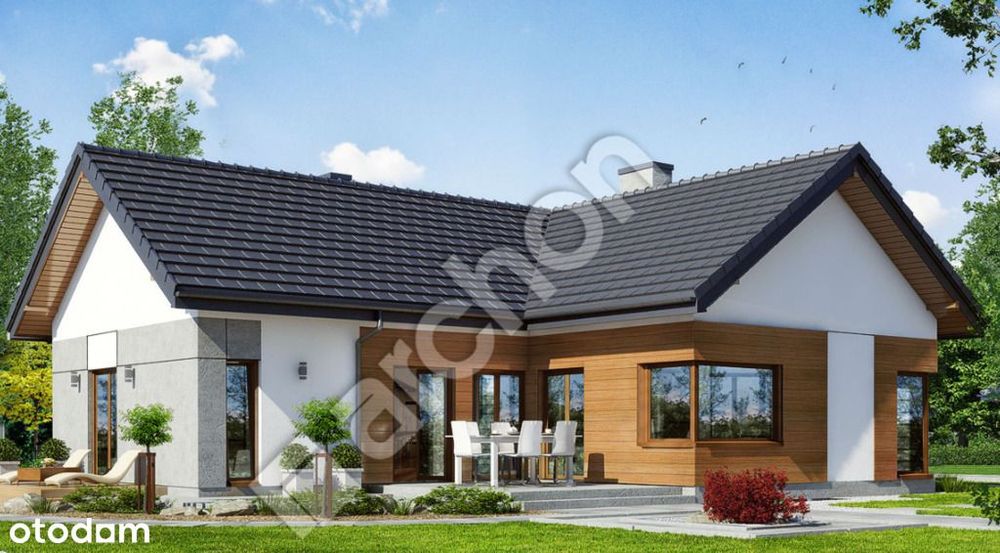 Zdjęcie 7