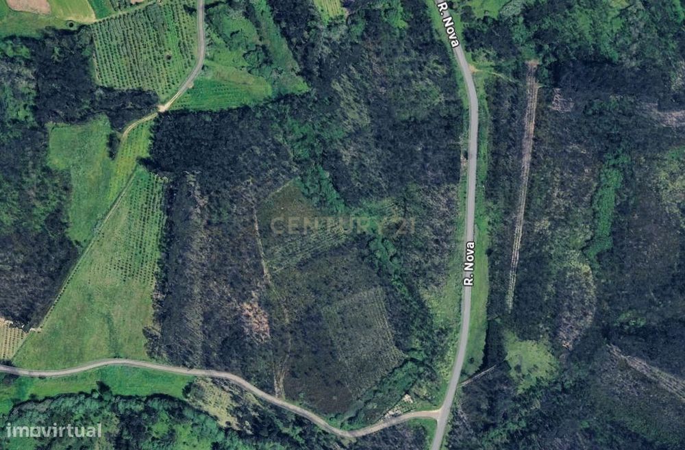 Agroforestry Land Plot of 30,855 m² – Quinta da Ponte, Ouca (Vagos)