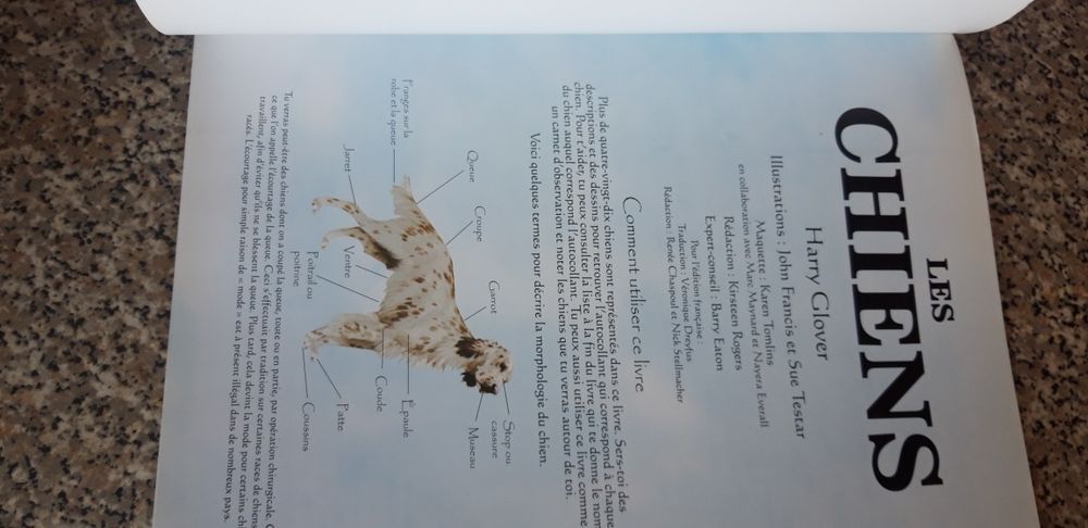 Livro Caderneta Les Chiens