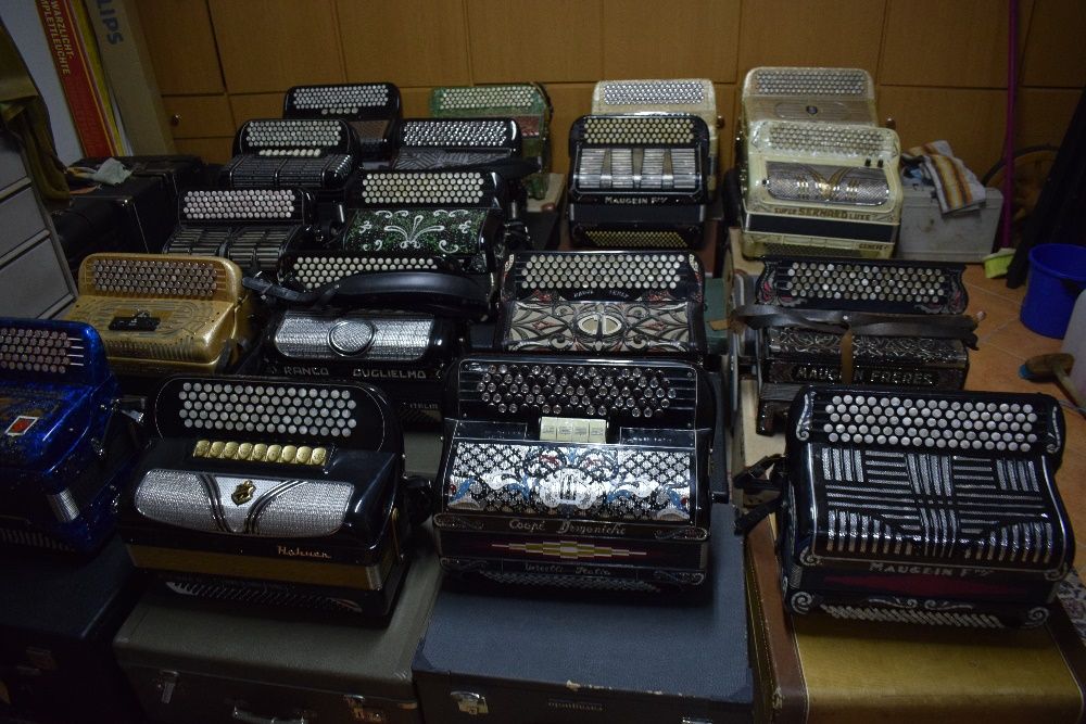 Accordion from Various Brands and Prices64173095834369124