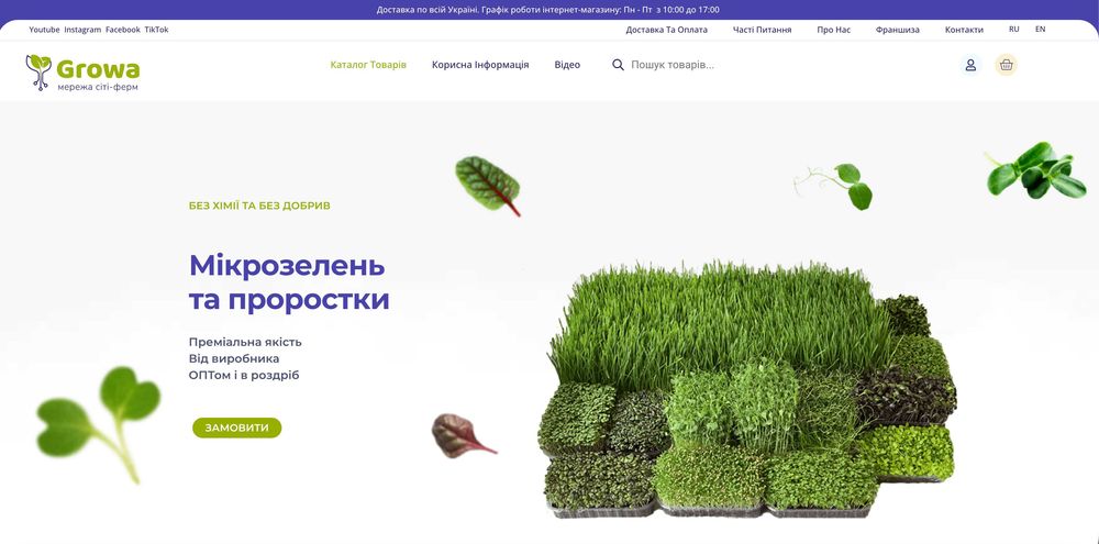 Онлайн-Бізнес: Інтернет-магазин здорового харчування. Окупність 12 міс