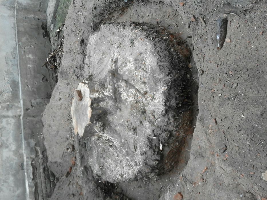 Обрізка зрізання дерев,коронування плодовитих дерев,корчування пнів.