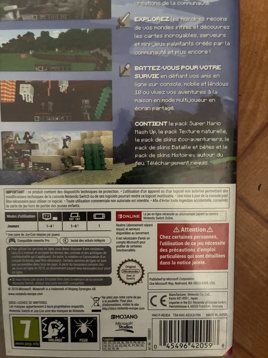 Minecraft switch