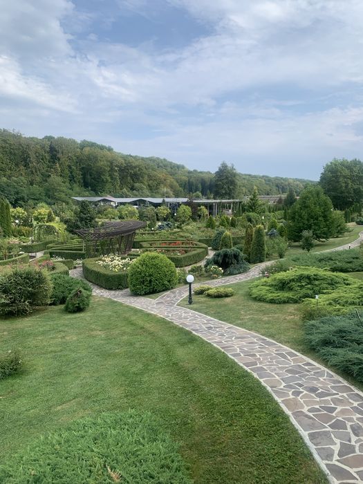 Садівник вирубка дерев лікування стрижка посадка рослин дизайн клумб