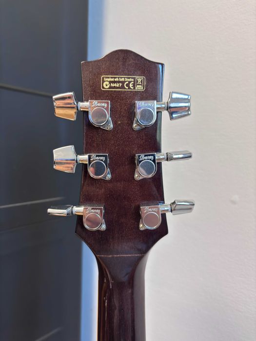 Ibanez EW20WNE-NT + futerał - Gitara elektroakustyczna