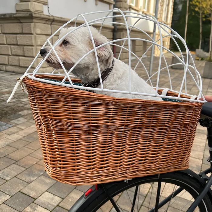 Aumüller Wiklinowy Kosz na Bagażnik Rowerowy dla Psa z Kratką do 15kgN