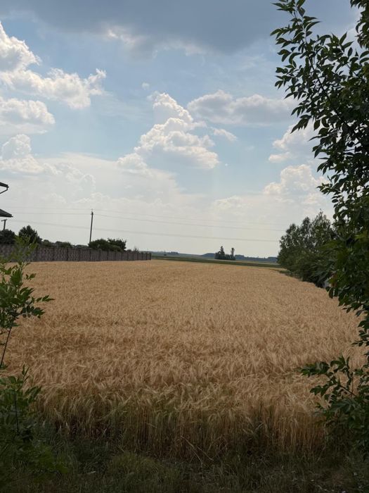 Земельна ділянка