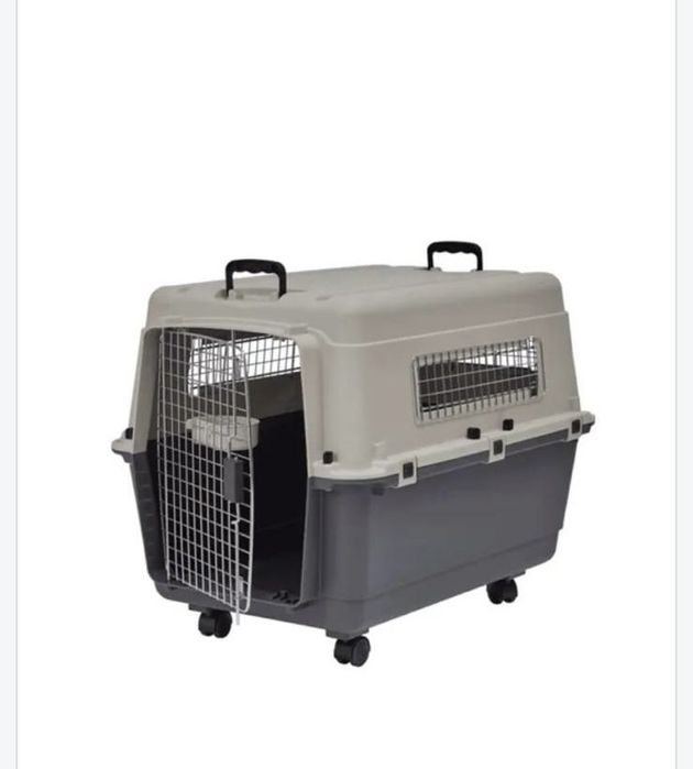 Caixa transportadora