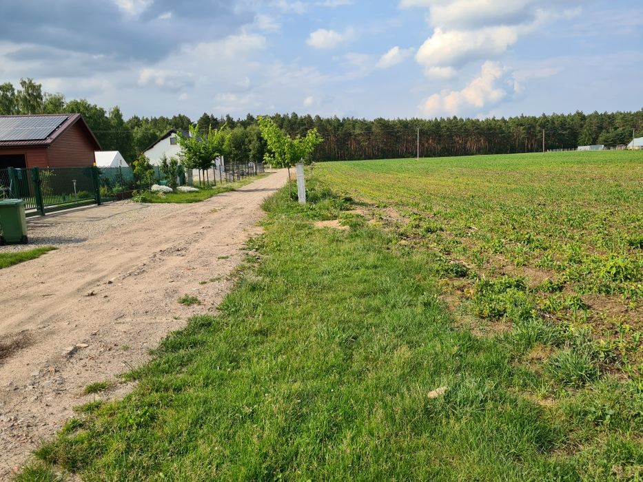 Działka budowlana blisko lasu