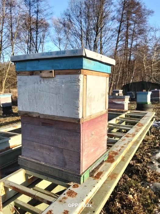 Вулики корпусні 10-рамкові Дадан-.