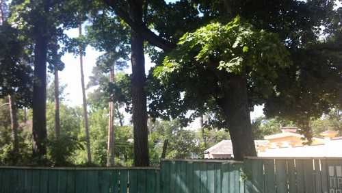 Пуща-Водиця, вул Юнкерова 40 сот або 2 ділянки по 20 сот