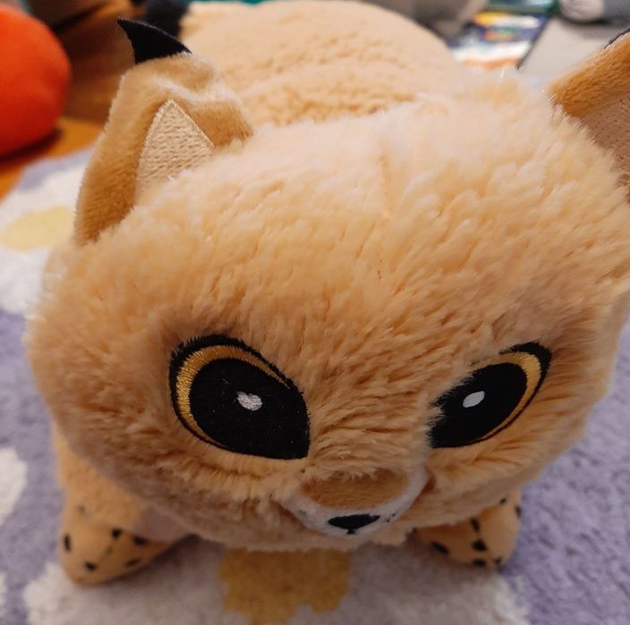 Poduszka Ryś zagrożone gatunki