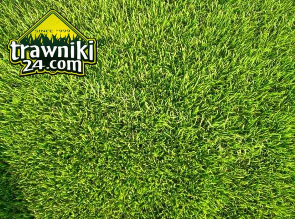 Trawa w rolkach 35m2 - paleta z dostawą CHŁODZONA 6°C