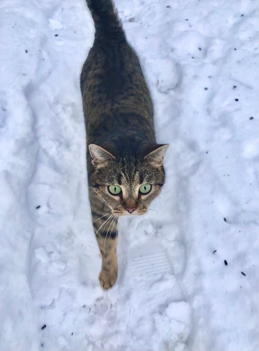 Лупатік дівчинка терміново