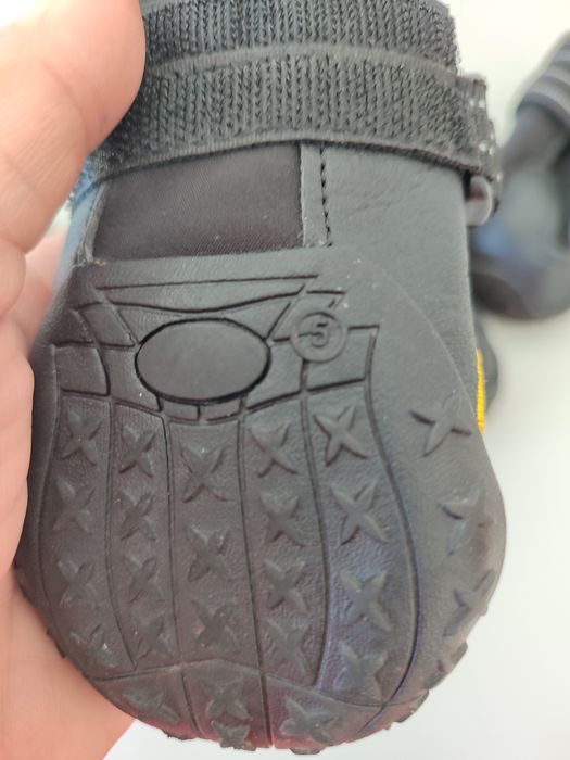 Botinhas de cão novas