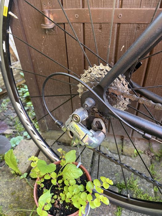 Shimano Ultegra / Rower szosowy / Mavic Ksyrium / Fizik – stan idealny