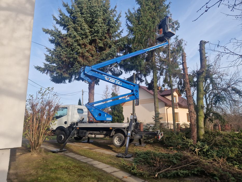 Wycinka drzew, wycinka tui, usługi rębakiem, frezowanie pni,