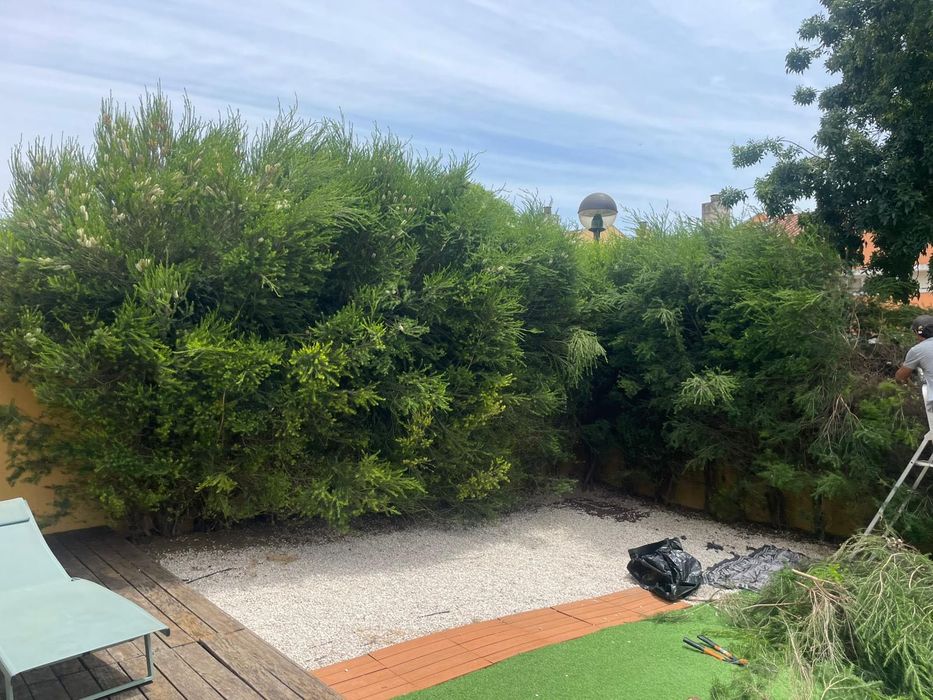 Jardinagem e limpezas e limpezas de terrenos