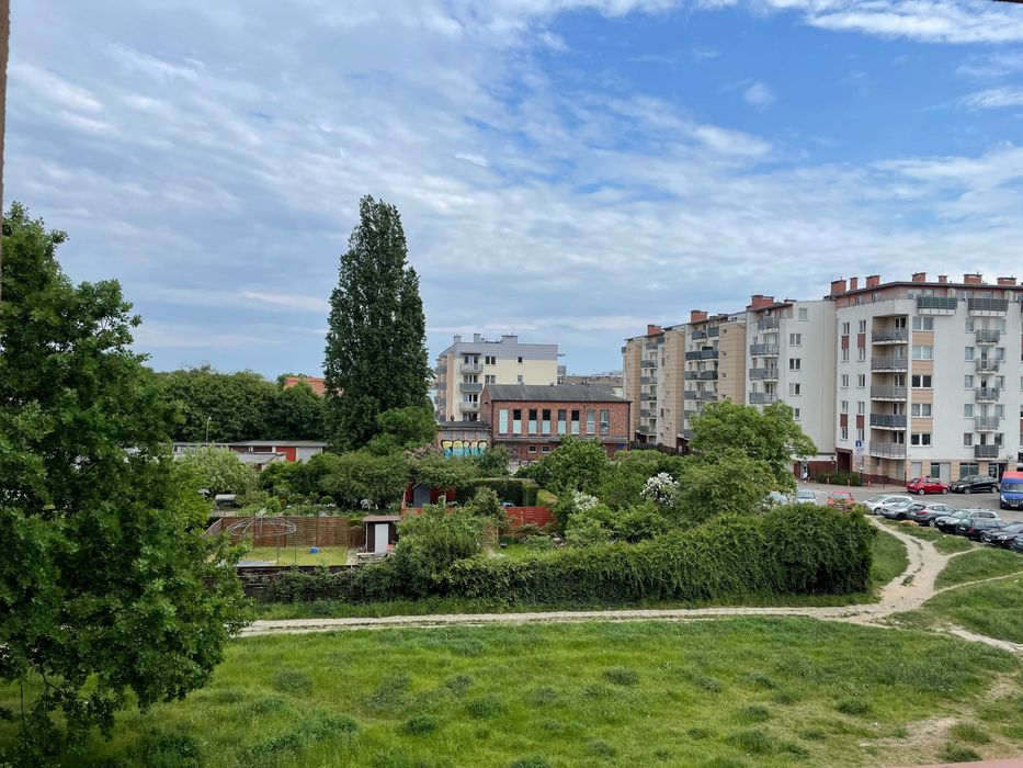 Zdjęcie 7