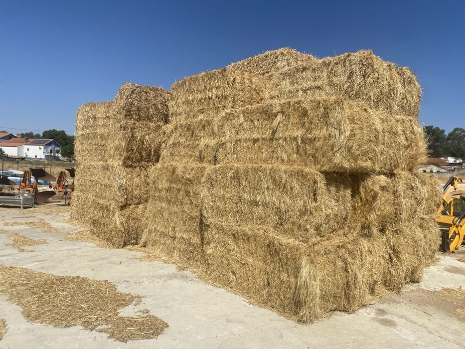 Fardos luzerna/Palha/feno