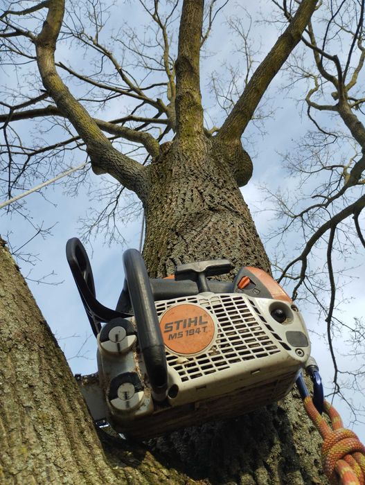 Wycinka/korekta drzew