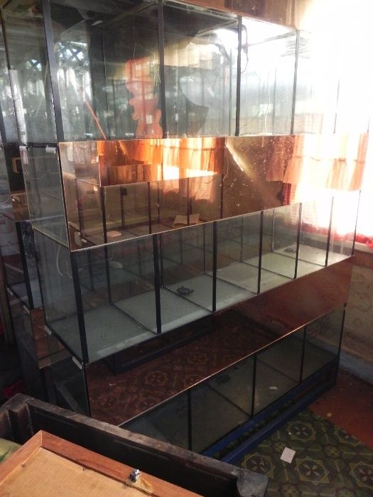 regały akwarystyczne