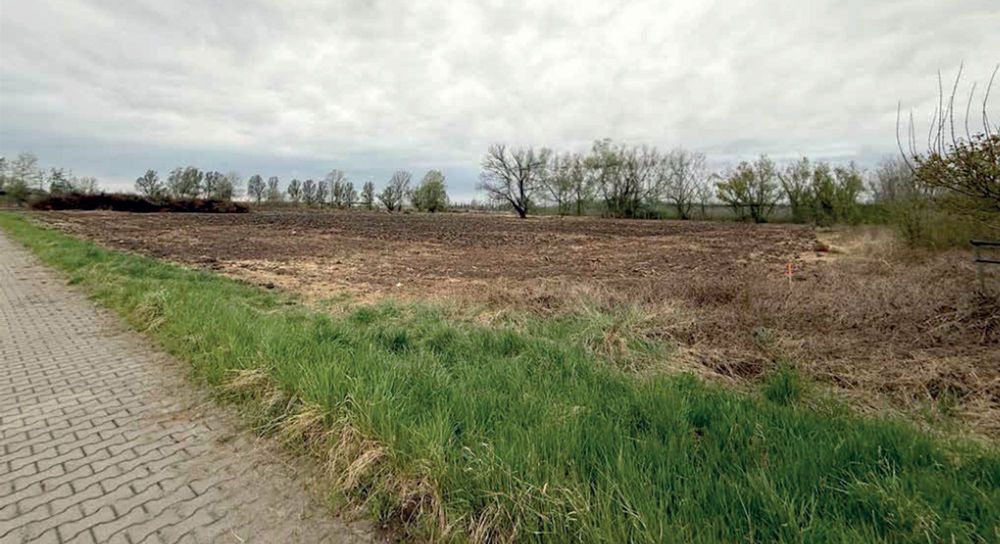 Działka inwestycyjna GŁOGOW LSSE | 3.1733 ha | PRODUKCJA / MAGAZYN | 80% ZABUDOWY | DK12/S3 - Widok 5