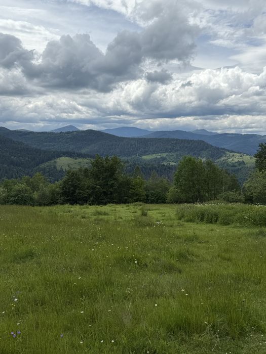 Продам ділянку Микуличин Карпати, земля в горах під будівництво