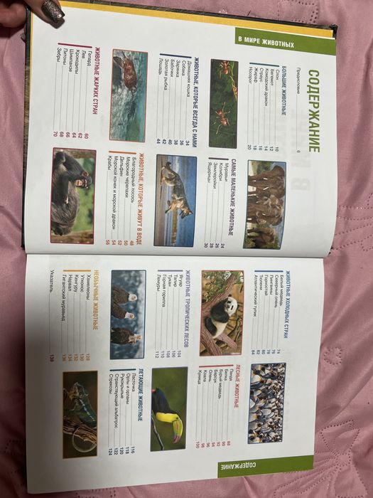 Книжка про тварин на російській мові