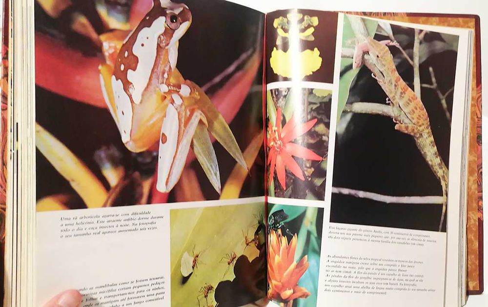 O Assombroso Mundo da Natureza - Suas Maravilhas e Mistérios