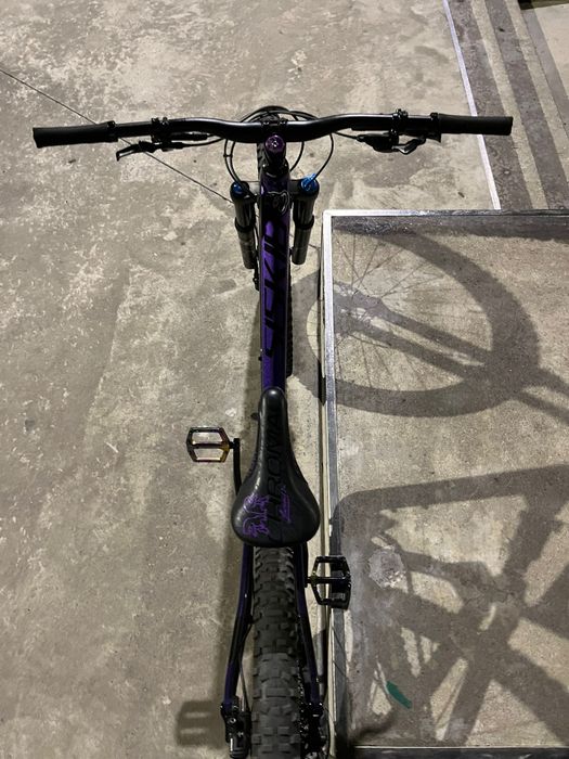 Polygon sisikiu T8