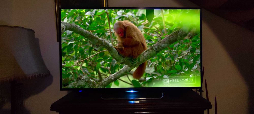 Super TV SONY 55" 400 Hz, net, USB, SAT. tylko 6 ms GtG (gw.) PS5 itp.